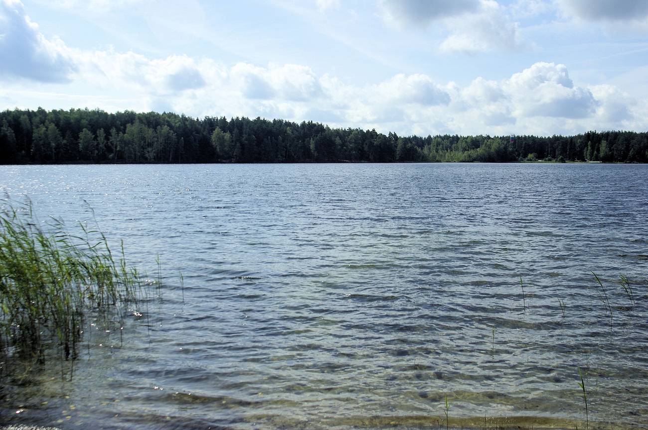 озеро белое шатурский район официальный сайт