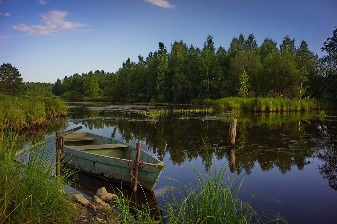 Фотосессия лодка в лесу