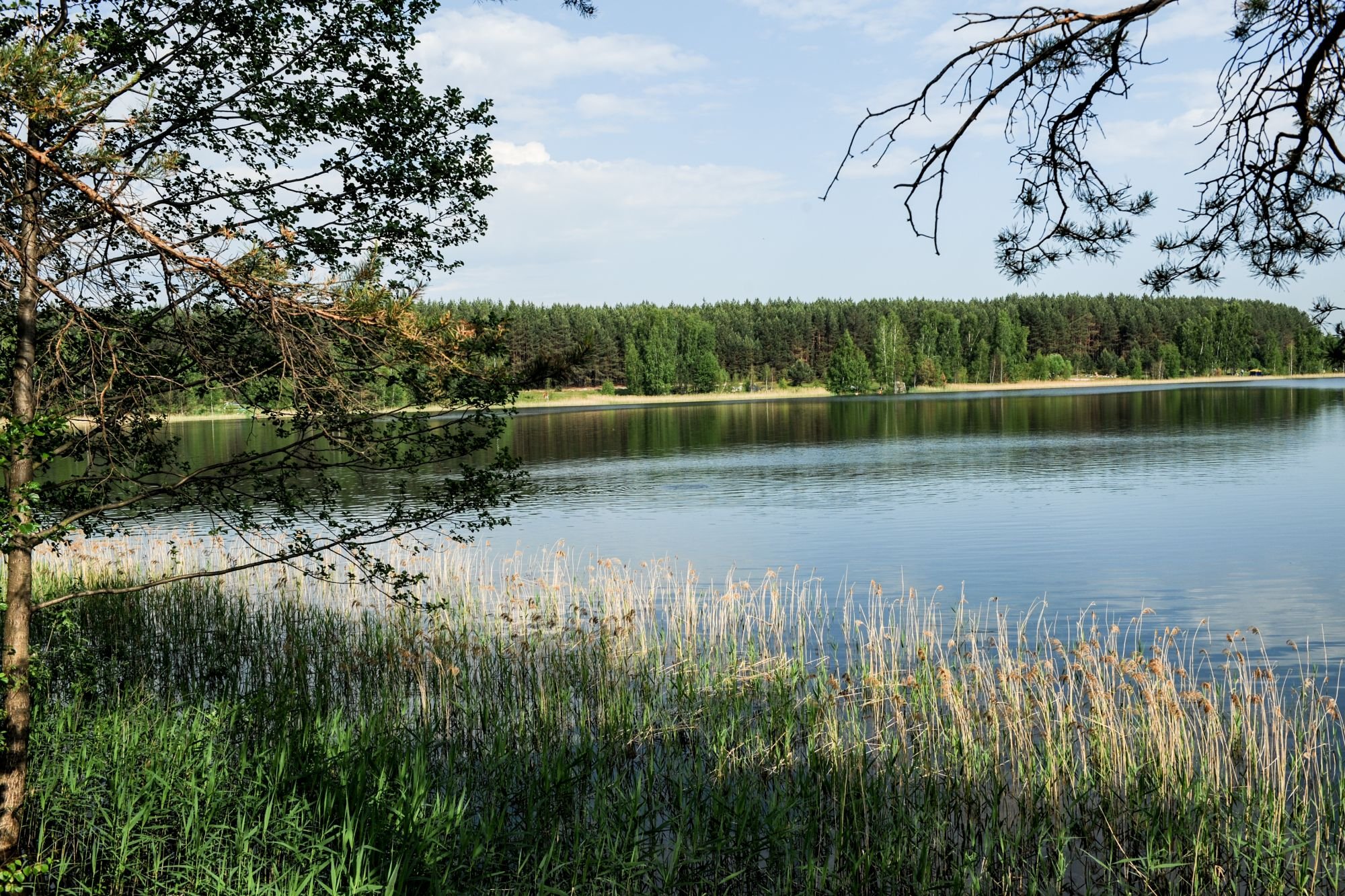 Белое озеро (Рязанская область, Северное)
