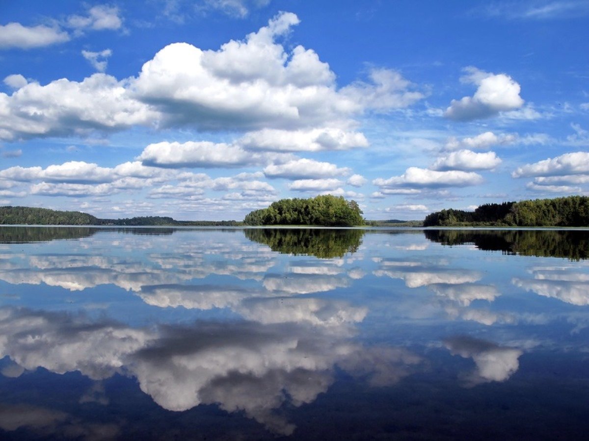 Озеро Сапшо Смоленское Поозерье