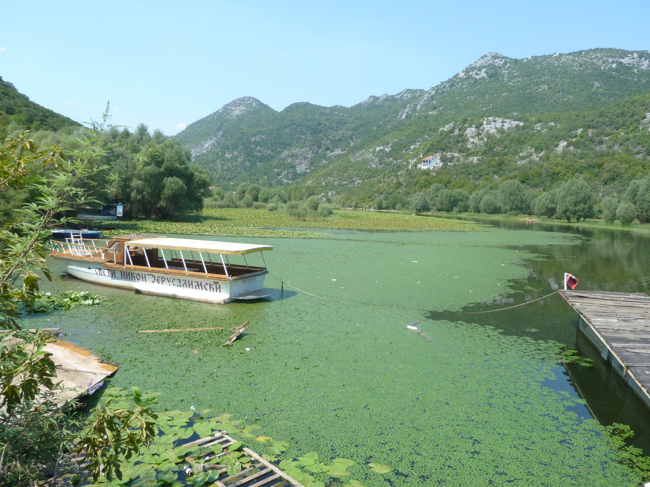 Акварель Скадарское озеро Черногория