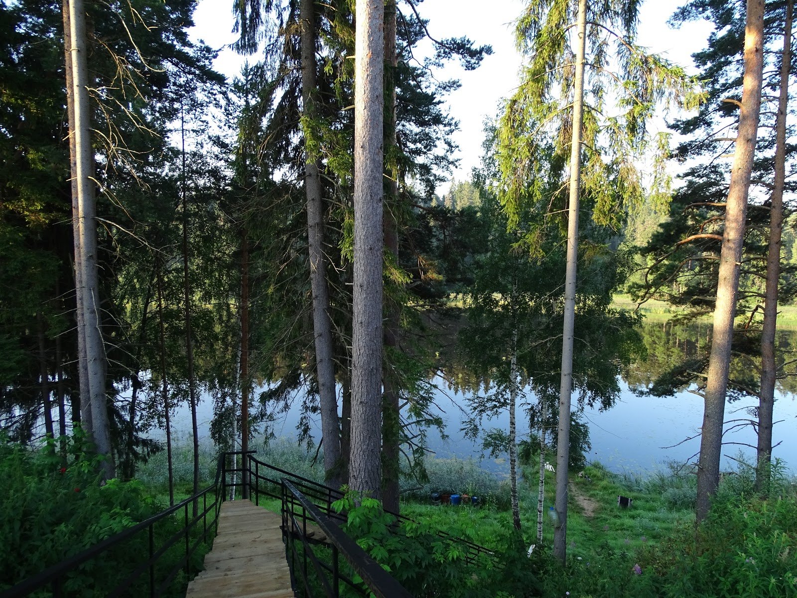 Озеро Омчино Лужский