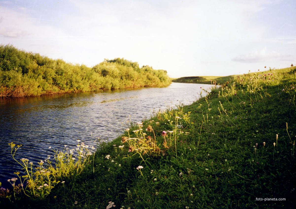 Карасук (река) реки Новосибирской области