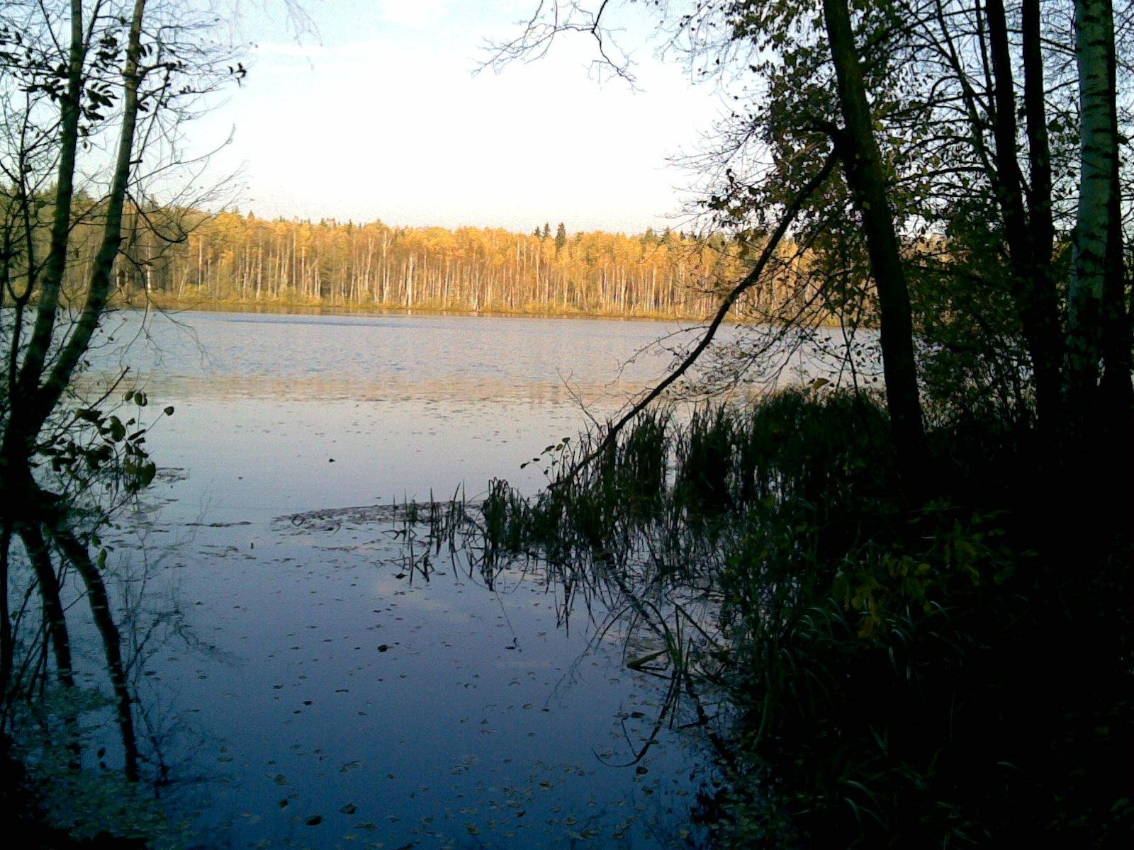 Озеро Сельма Шатурский район