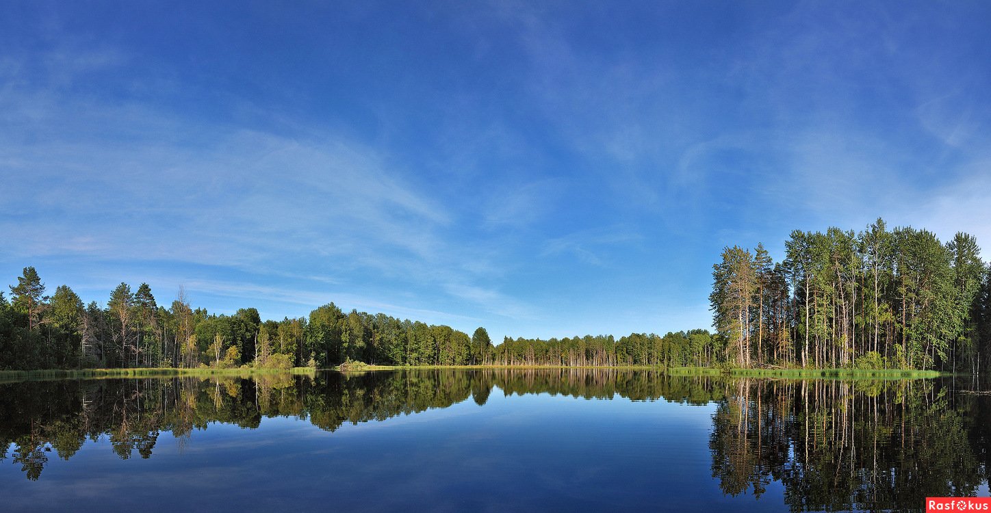 Лошево озеро Ленинградская область