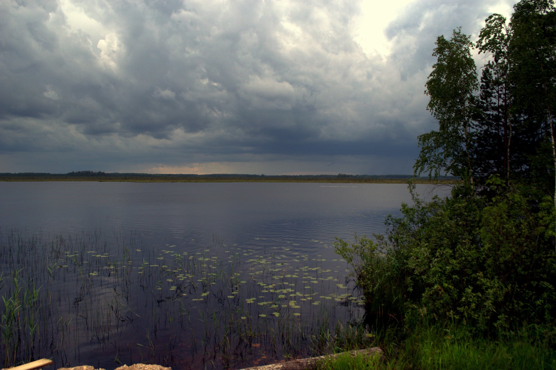 Озеро Забельское Бокситогорский район