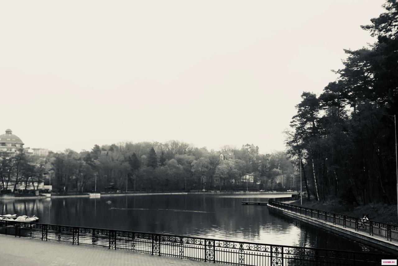 Светлогорск озеро тихое фото