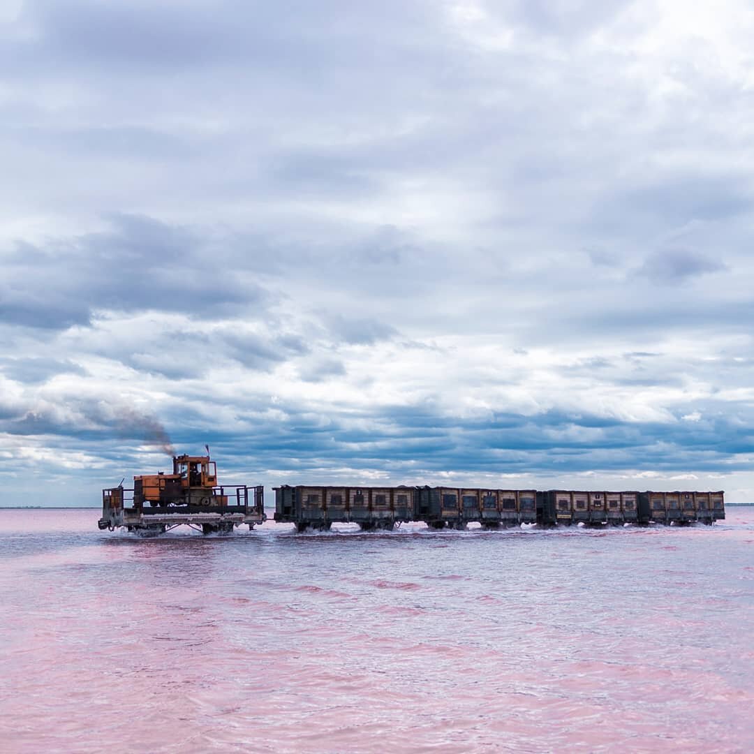 розовое озеро алтайский край яровое