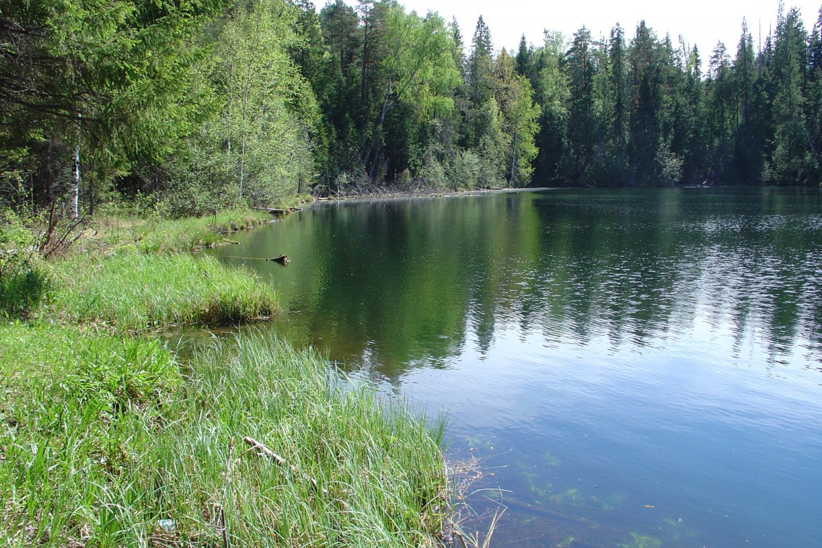 Озеро круглое Свердловская область