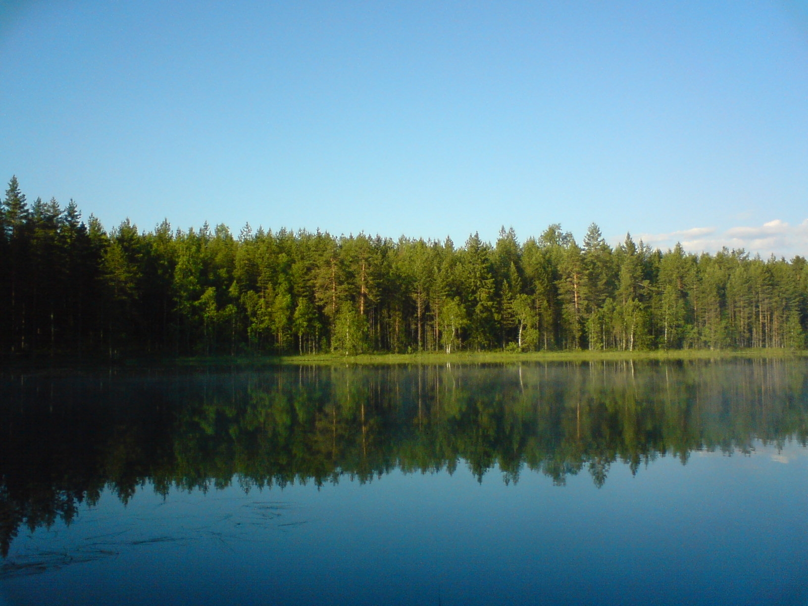 Озеро Ельчинское Приозерский