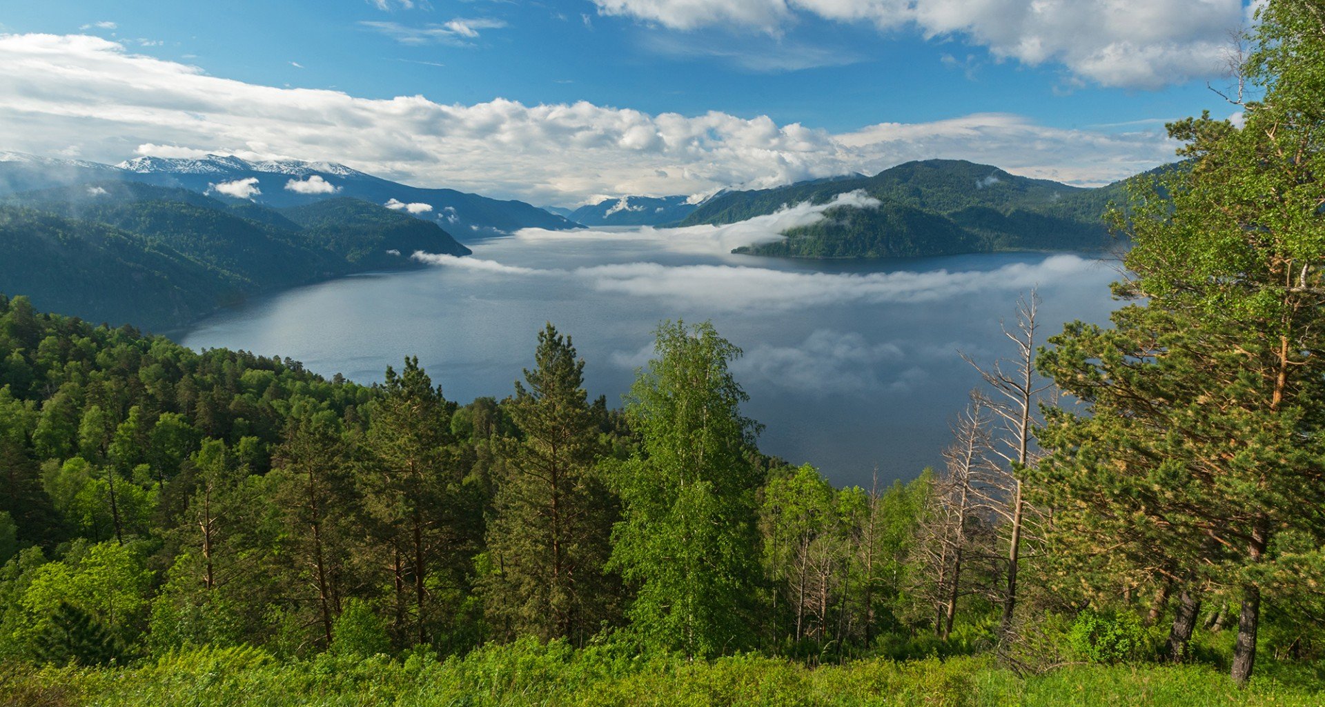 озеро телецкое алтайский край фото озеро телецкое алтайский край