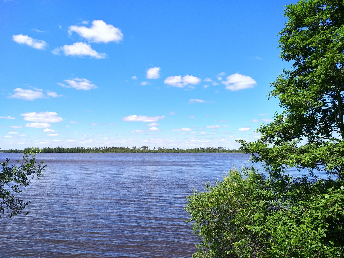 пляж белая гора сестрорецк