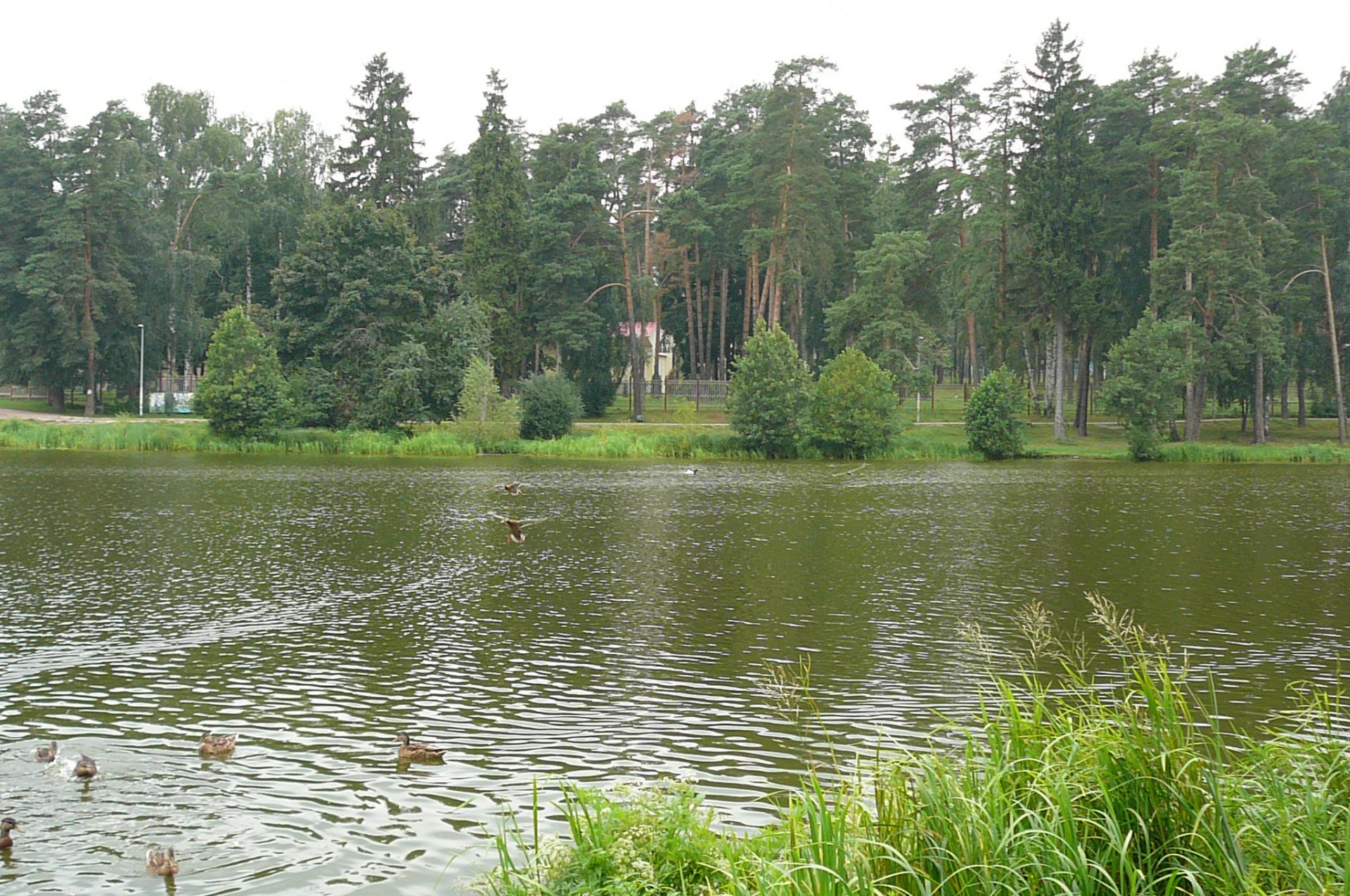 Кратово Московская область озеро