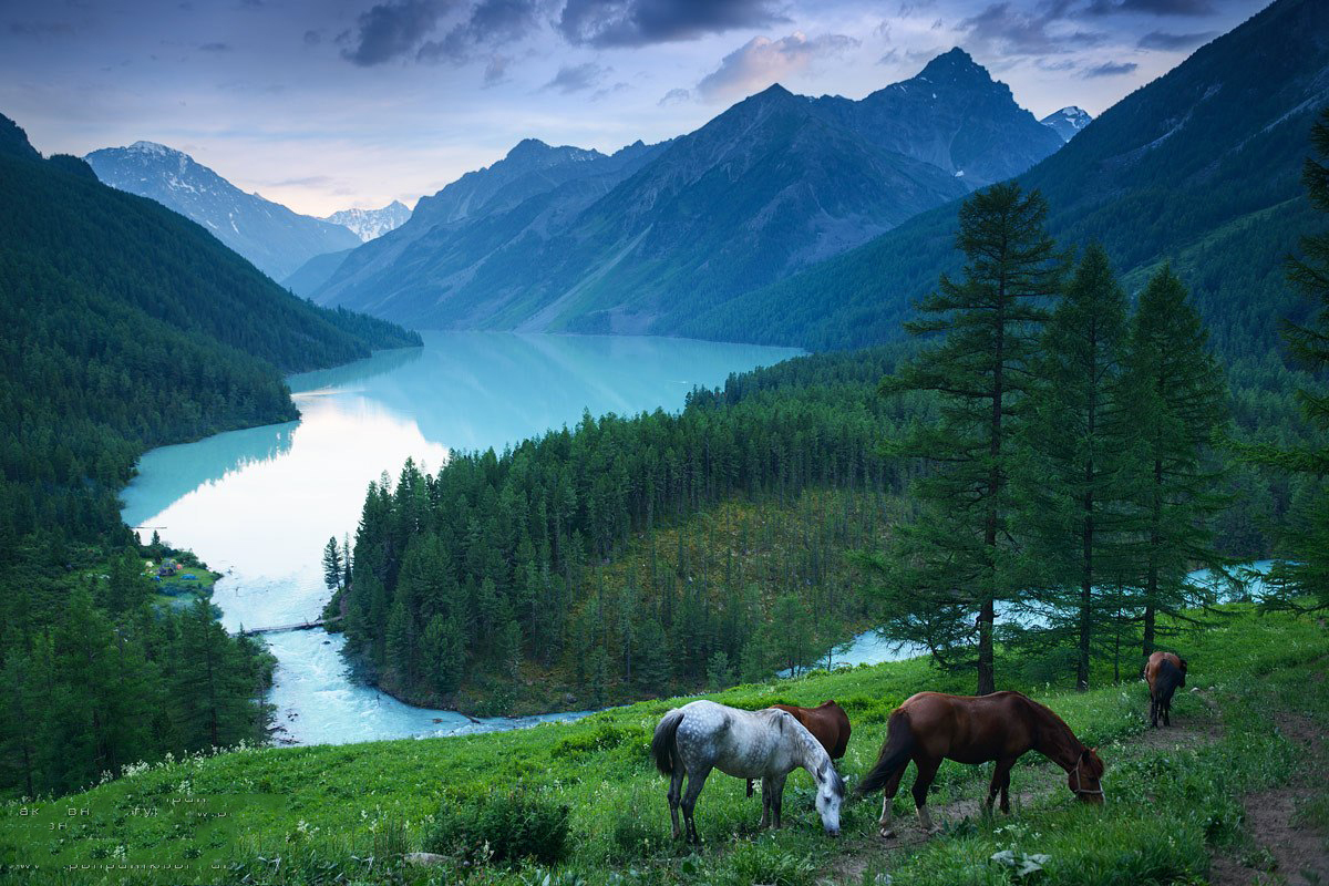 Кушалиноское озеро Алтай