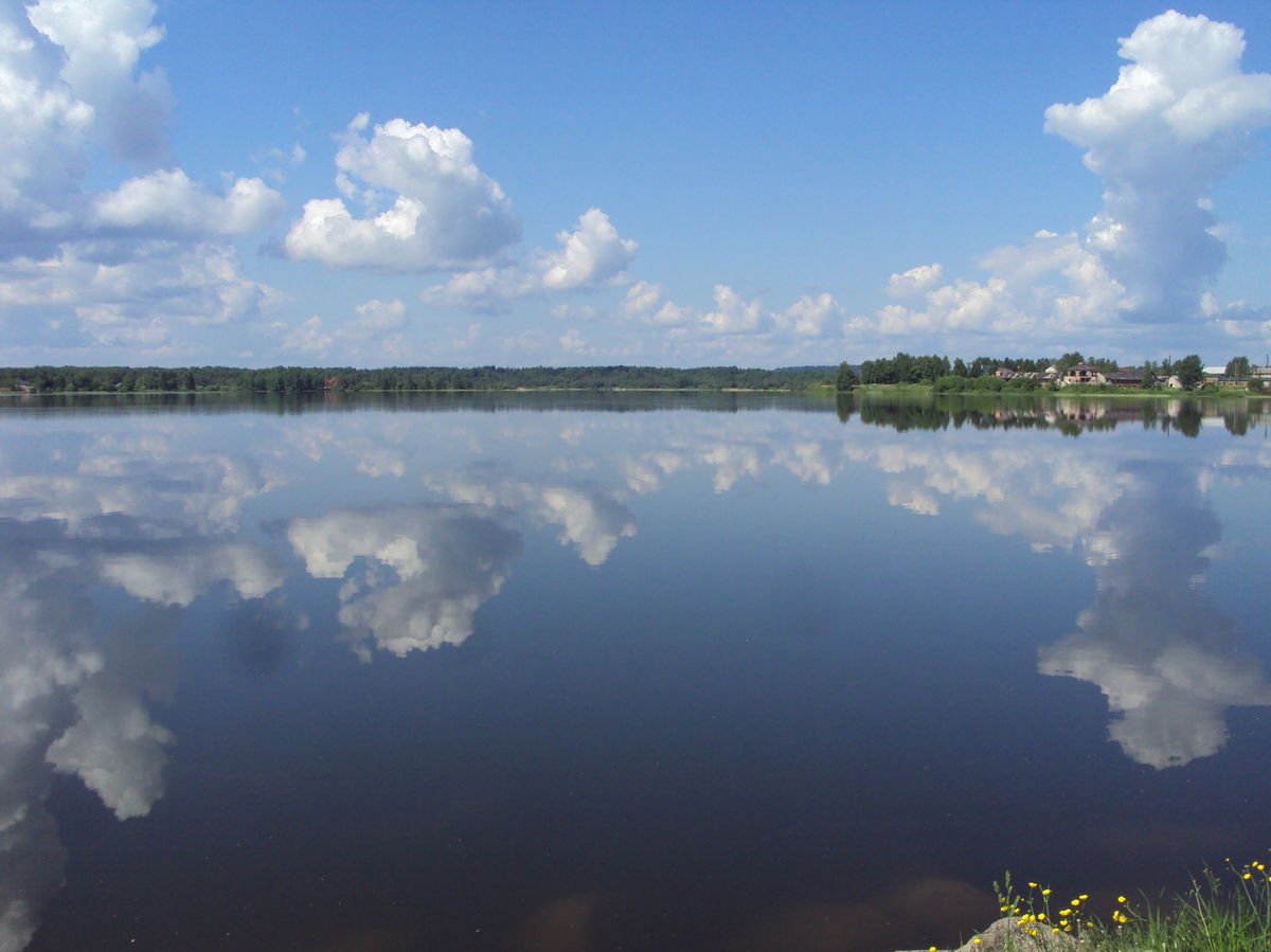 Белое озеро (Вологодская область) озёра Вологодской области