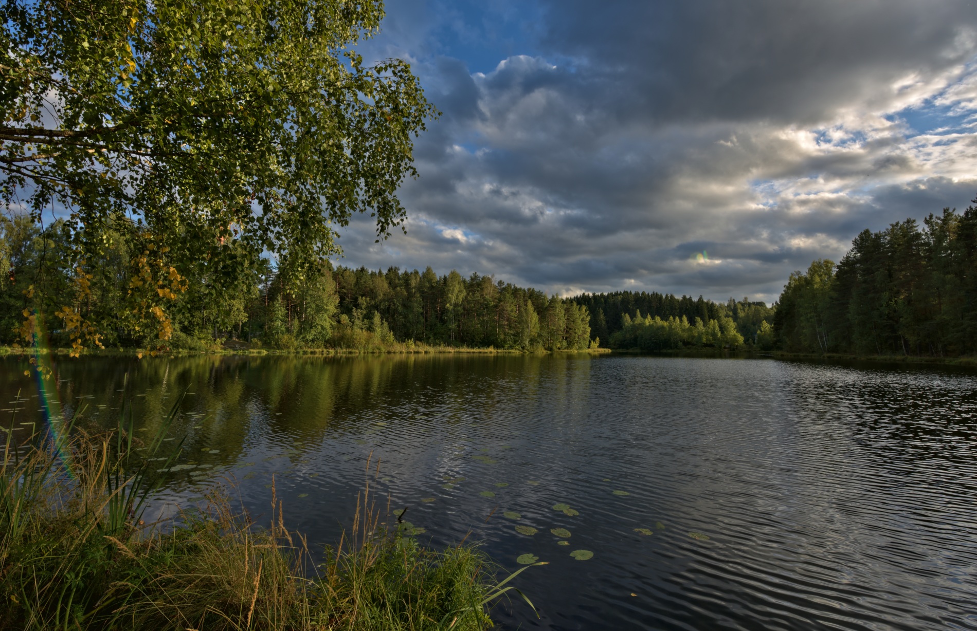 Озеро пионерское Ленинградская