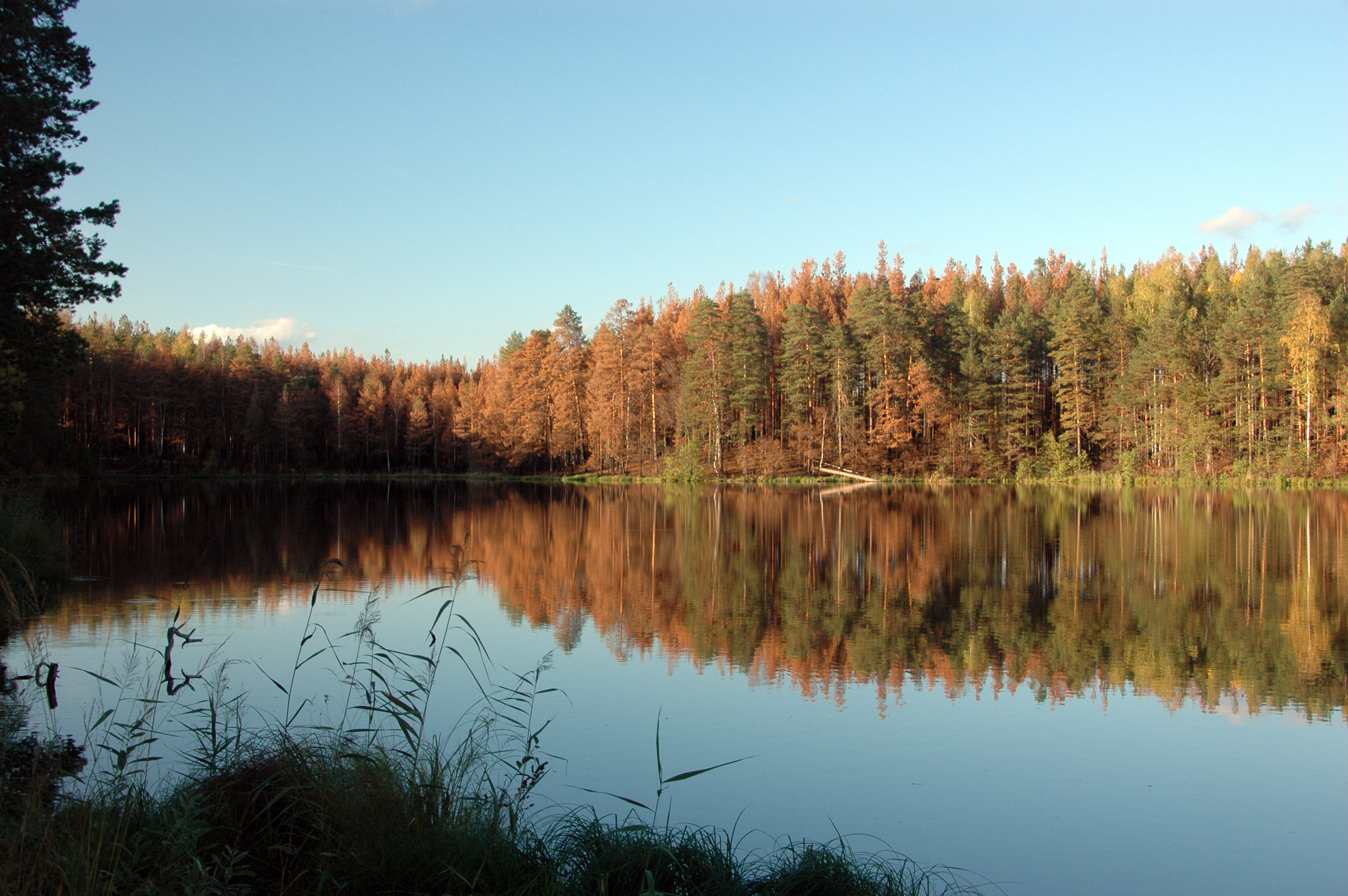 село моста южский район