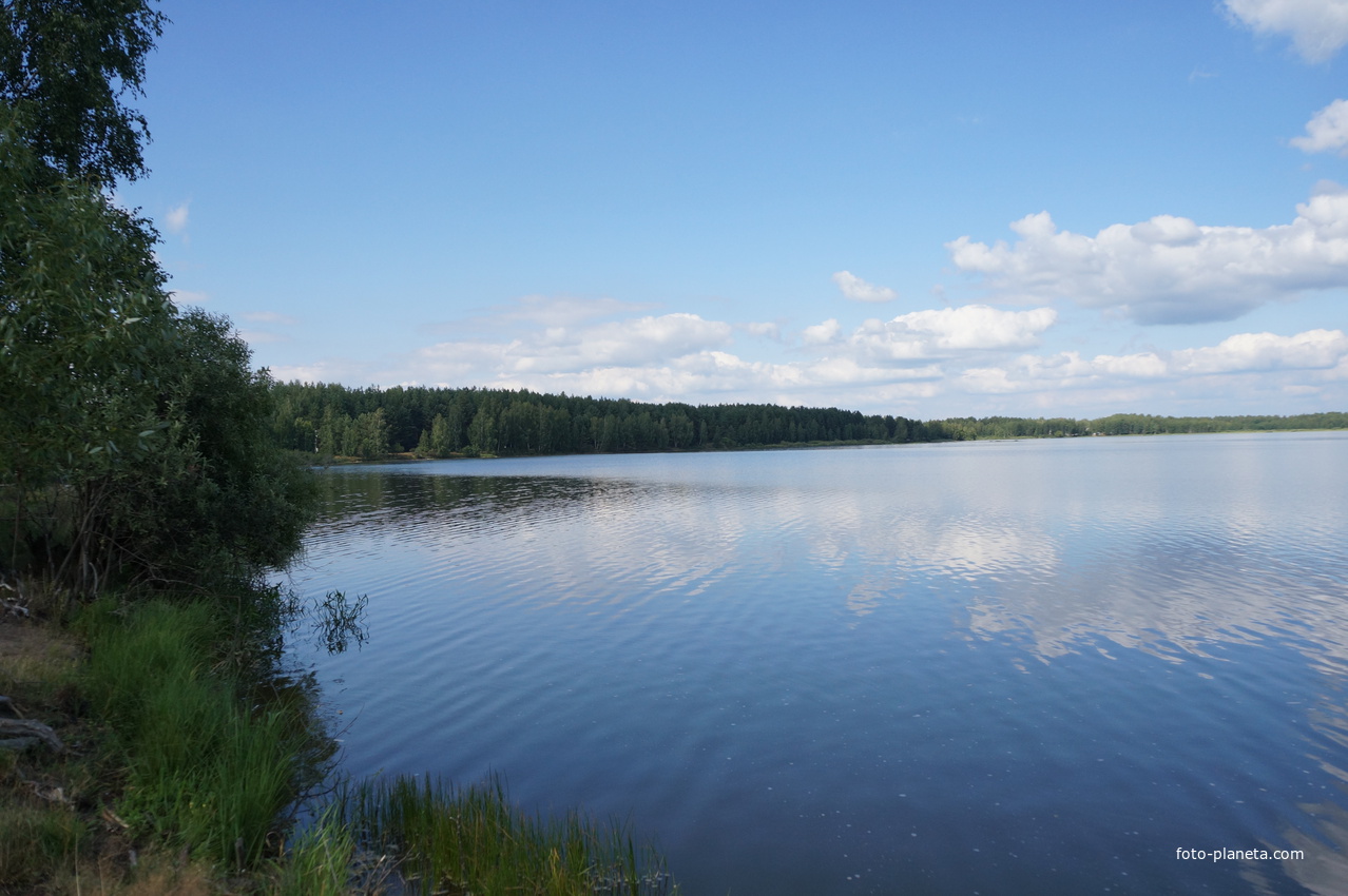 Озеро белое Клепиковский район