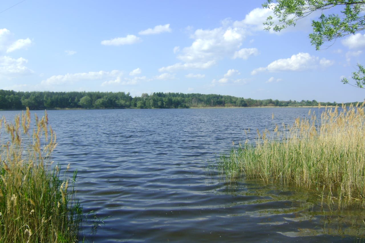 Озеро виша Владимирской области