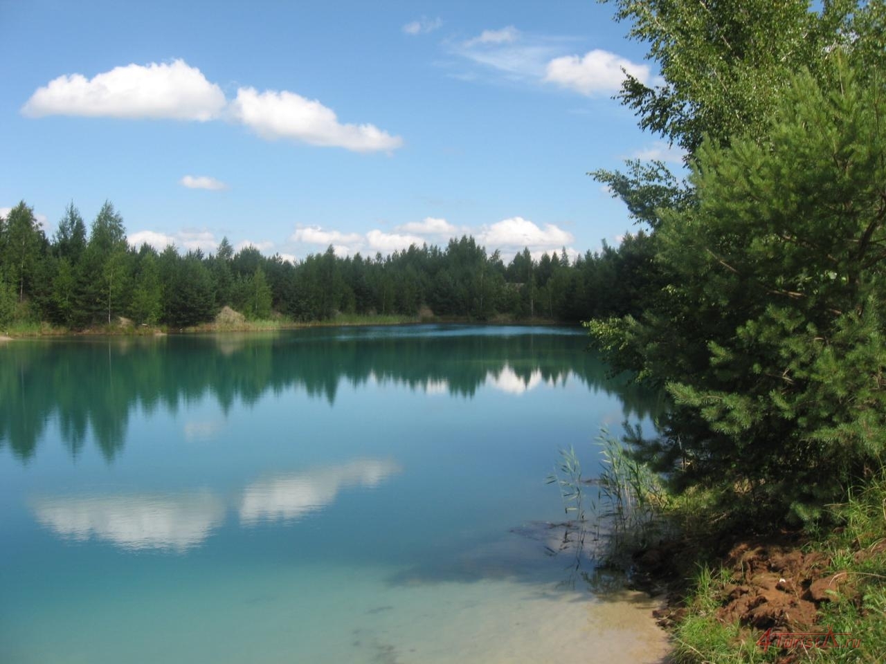Лесное озеро Сычево