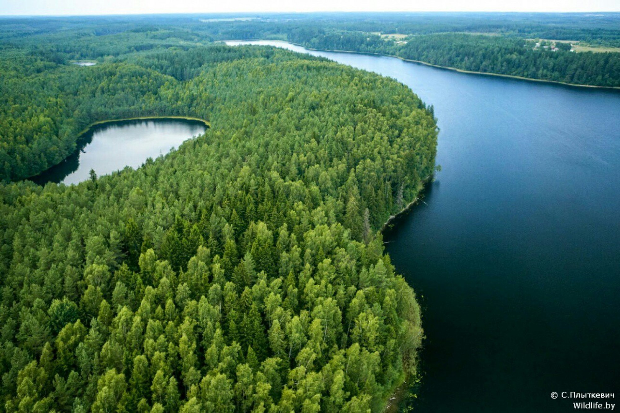Озеро белое Нарочанского края