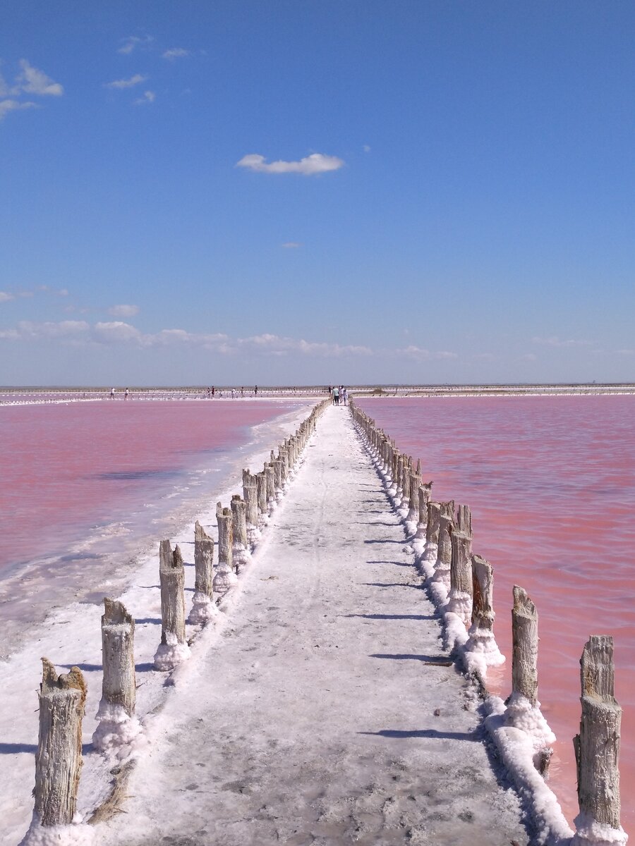 соленое озеро саки