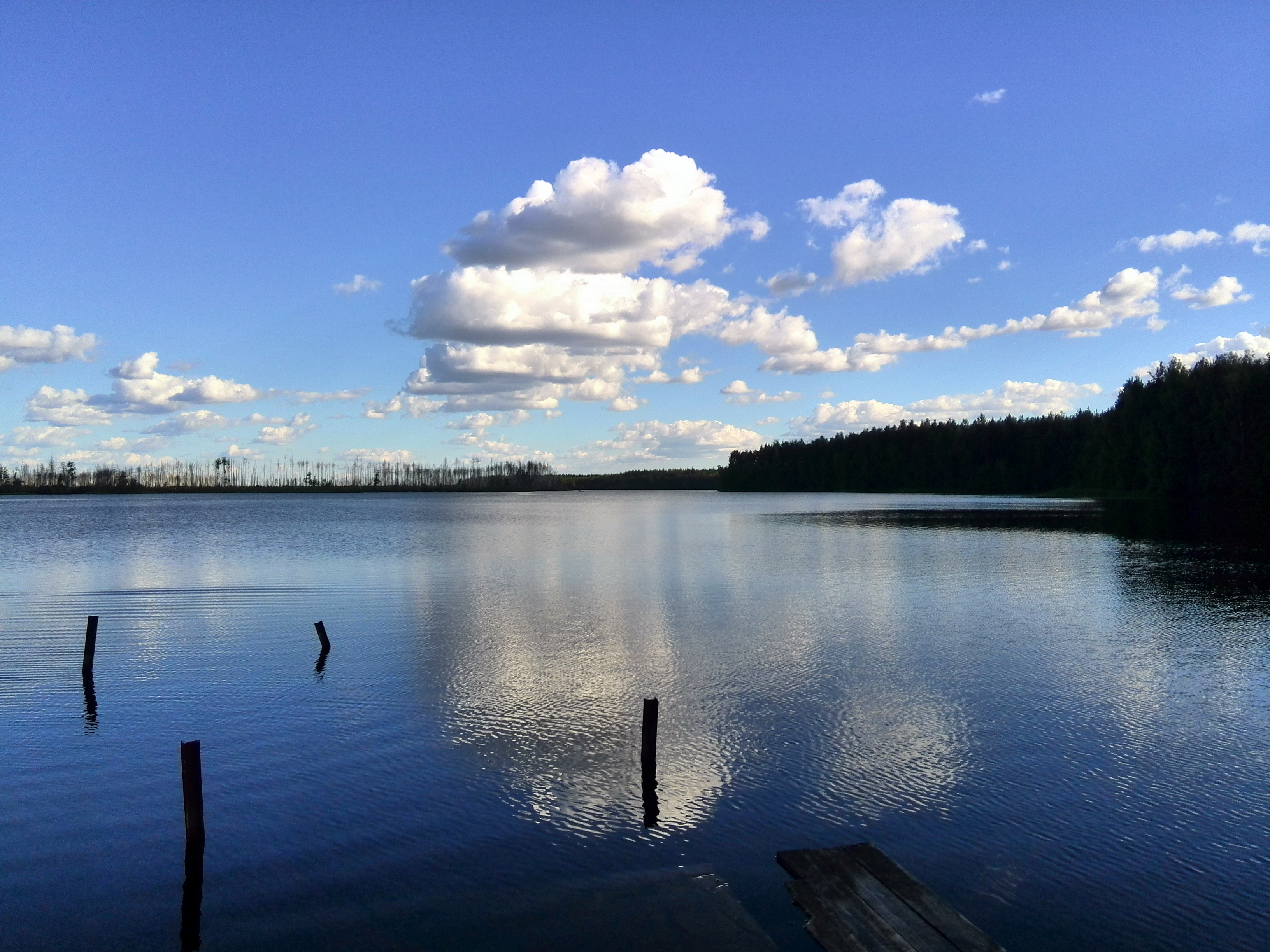 Озеро Западное Ивановская область Савинский