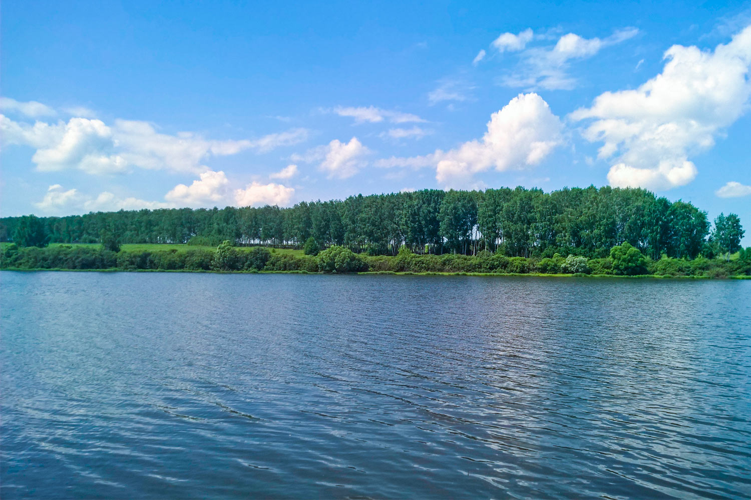 Белое Озеро Пензенская Область Фото