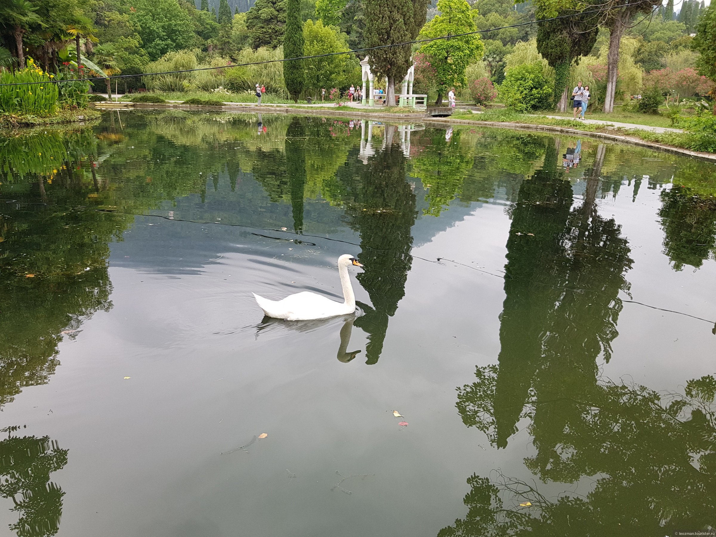 Парк Лебединое озеро Абхазия