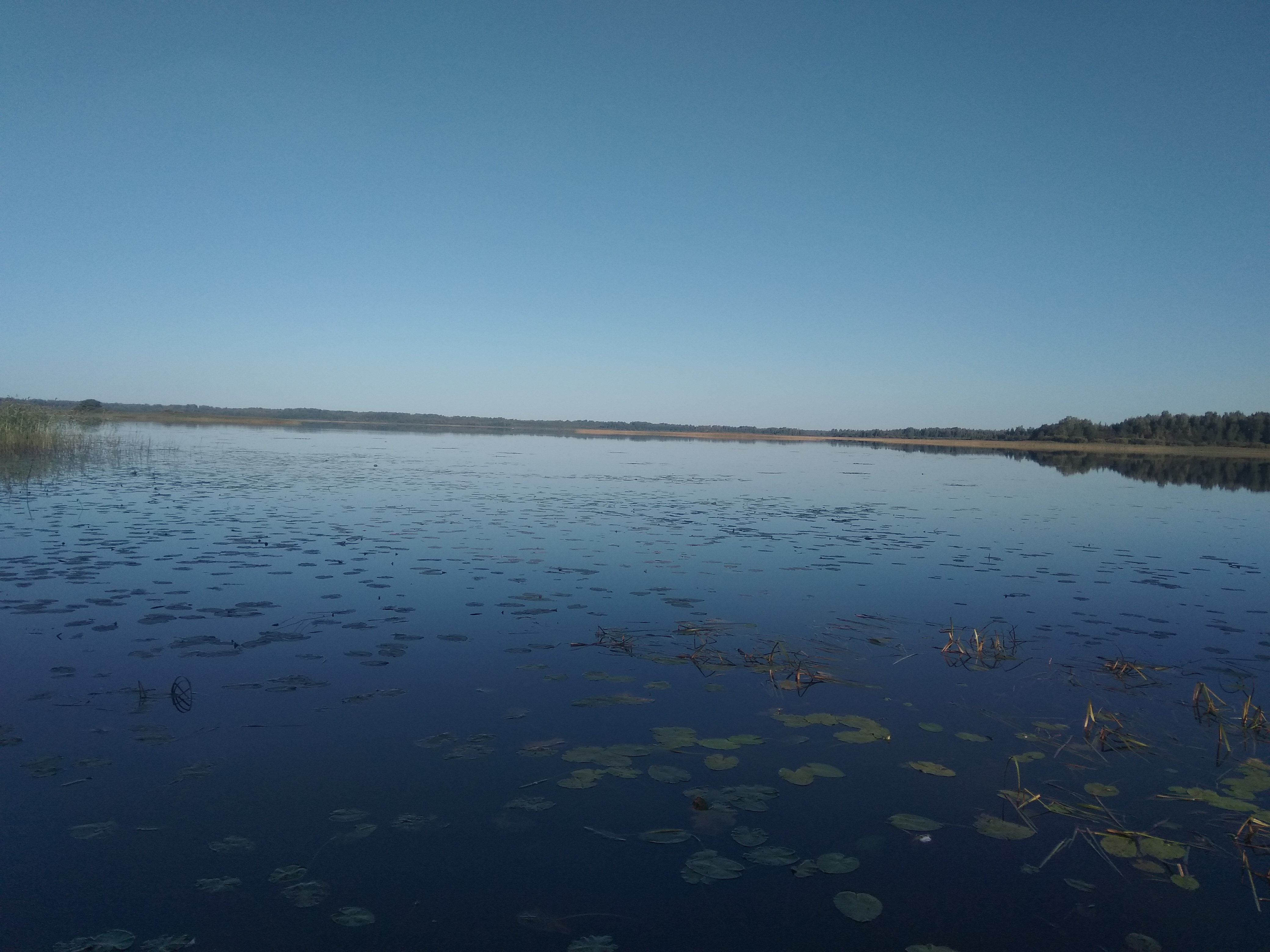 Озеро Себежское Псковской области рыбалка