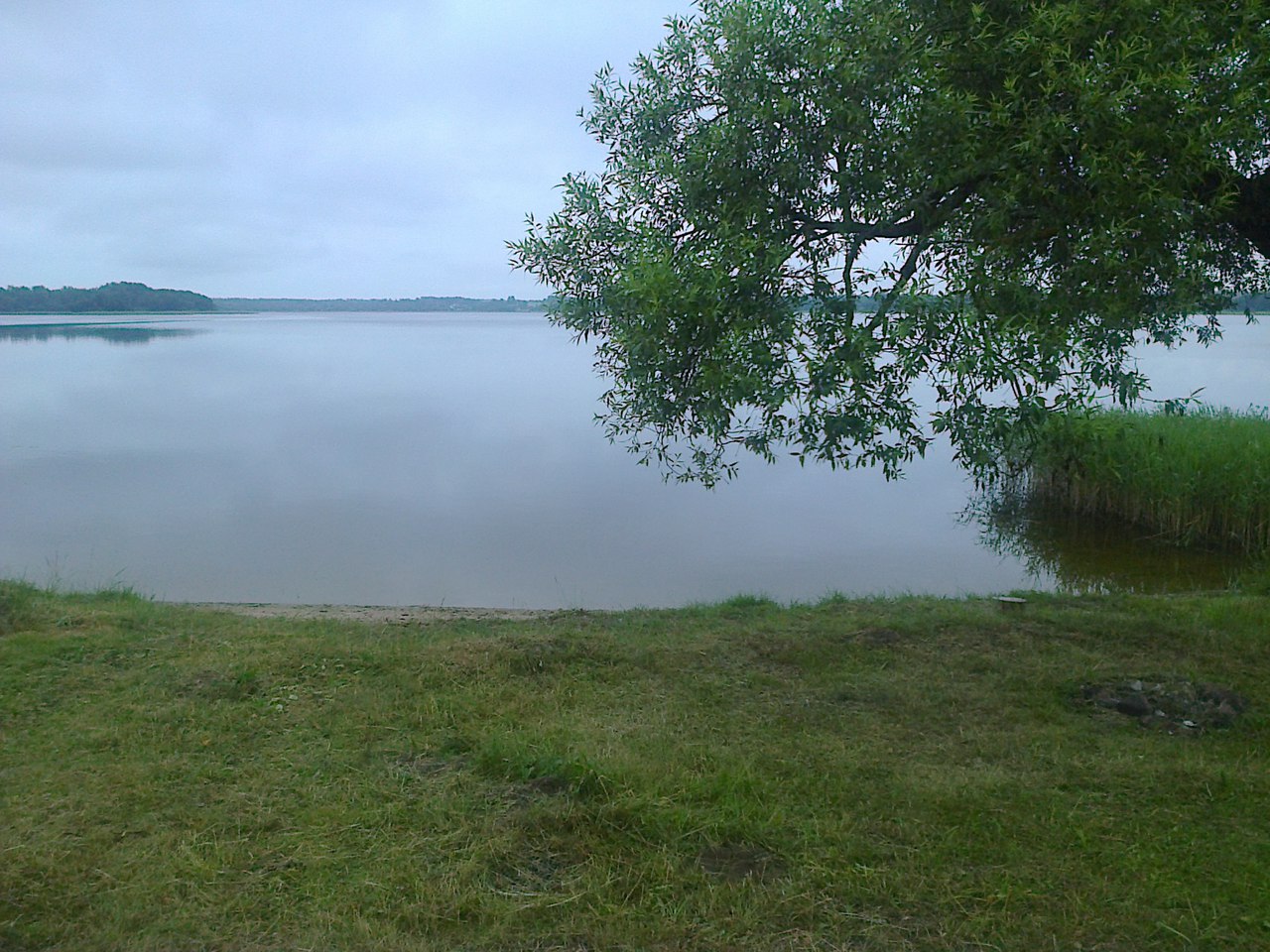 Озеро Зеленец Себежский район