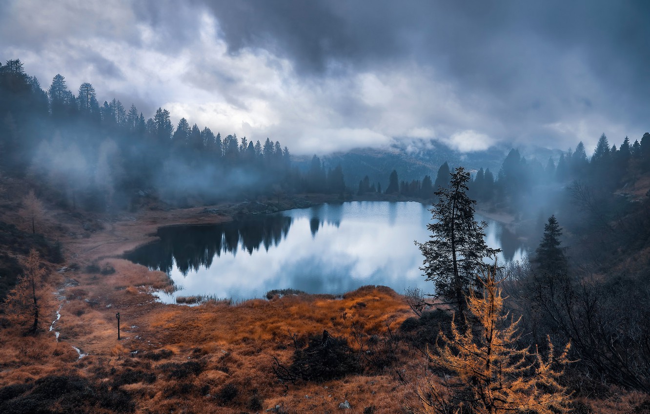 Лес озеро туман