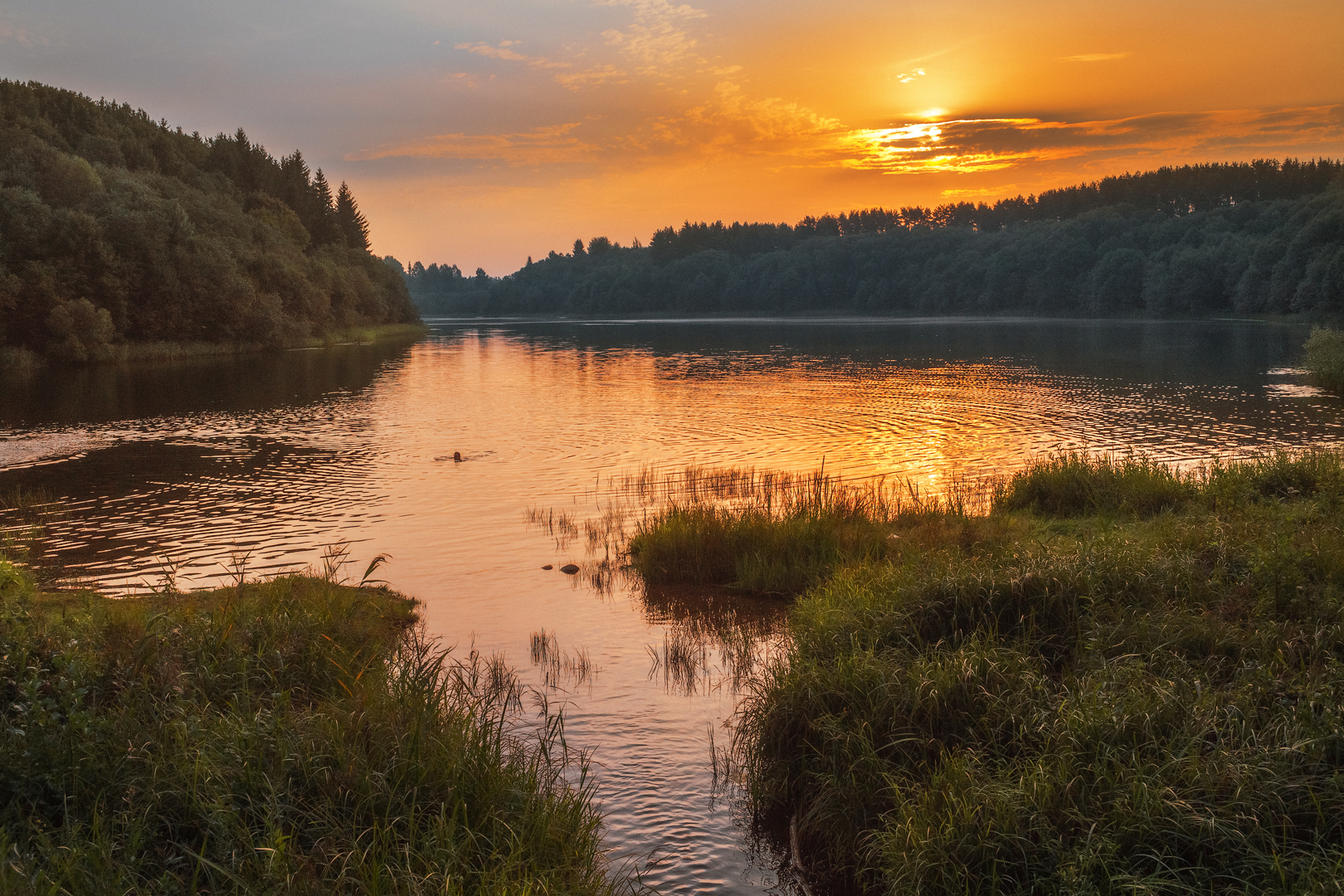 Озеро дикое Беларусь