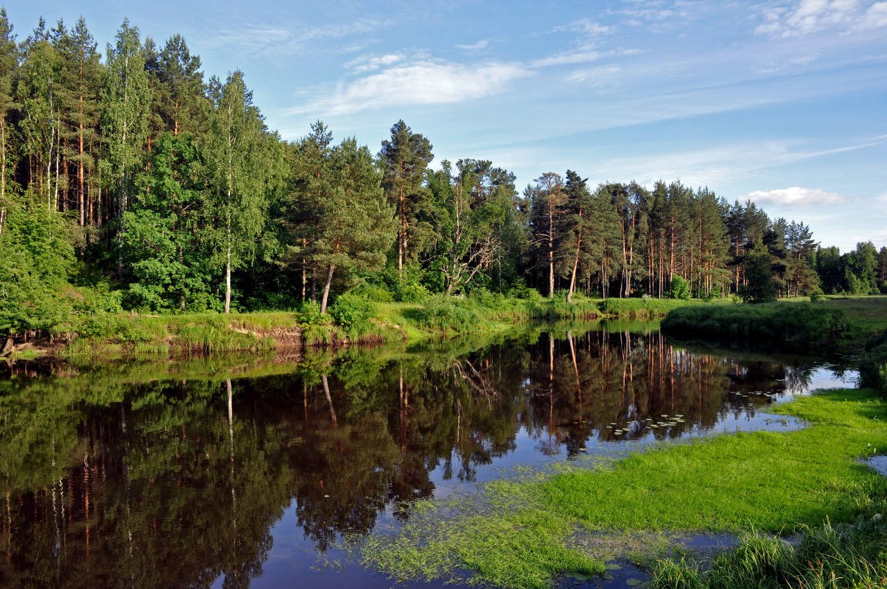 фото рек московской области