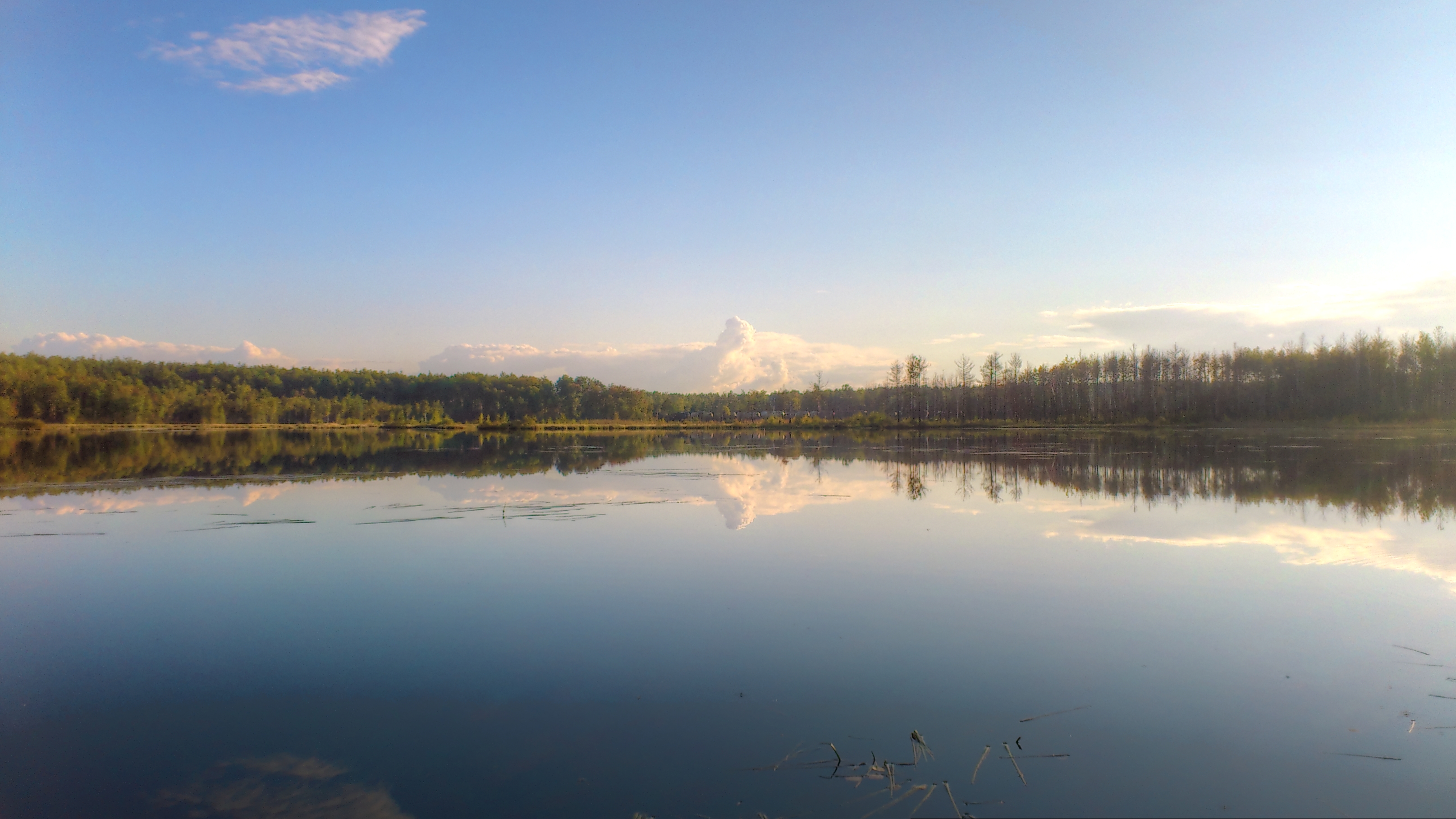 Озеро Маненок Давыдово