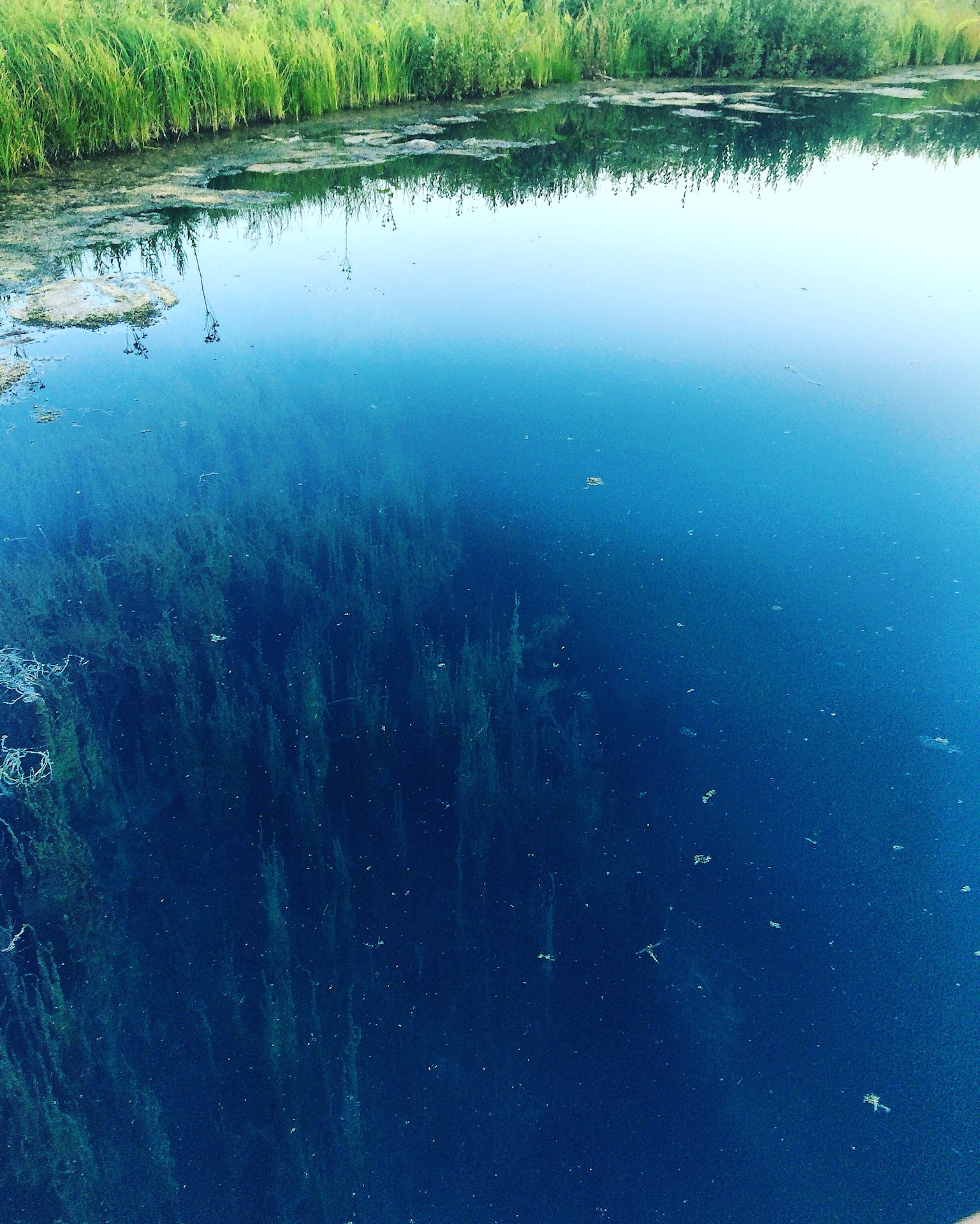 Старое Якушкино голубое озеро