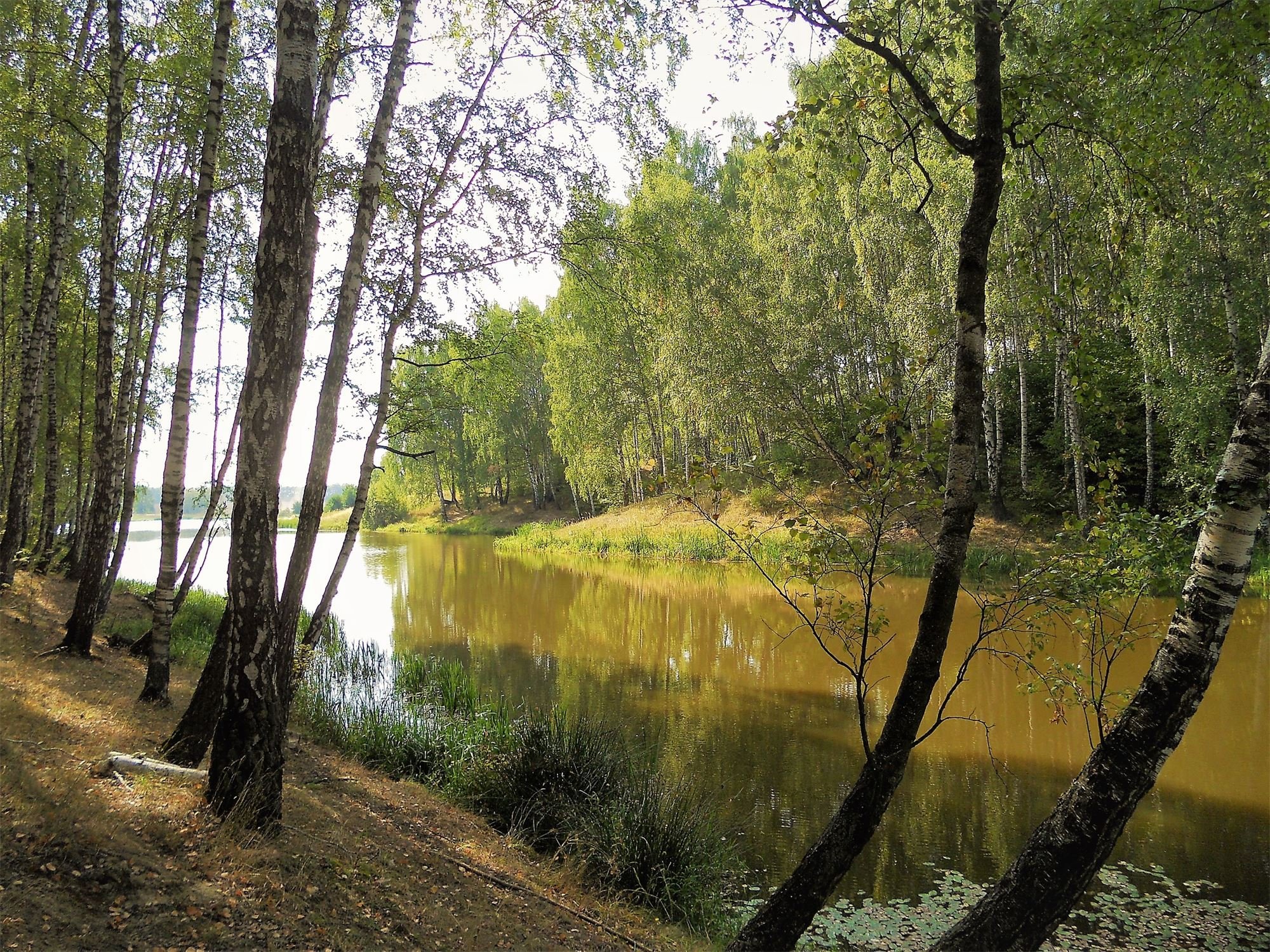Река шумка Рязанская