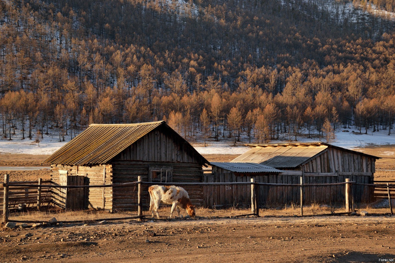 Таежные поселки в Сибири