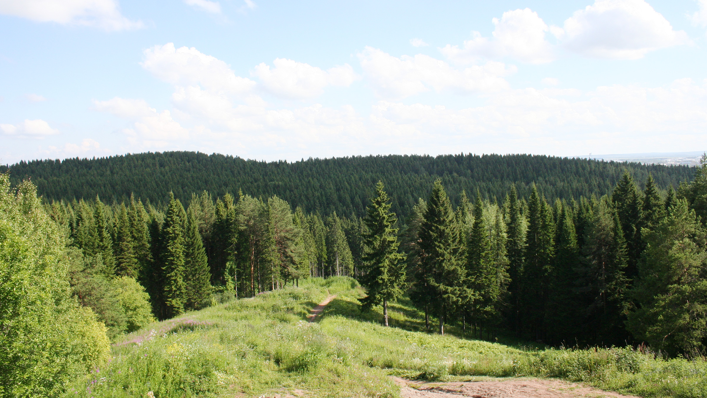 Андроновский лес Пермь