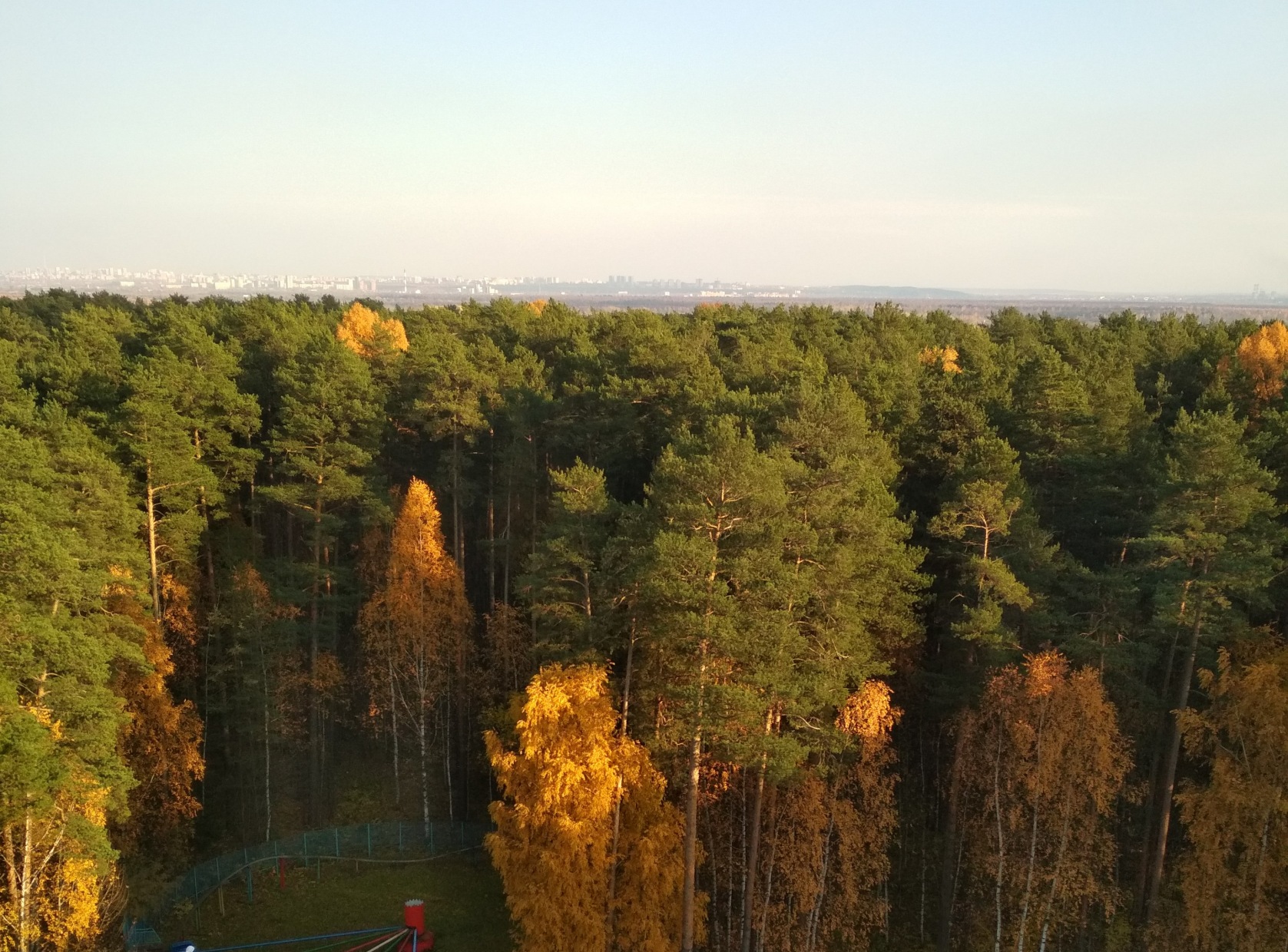 Пермь Черняевский лес сверху