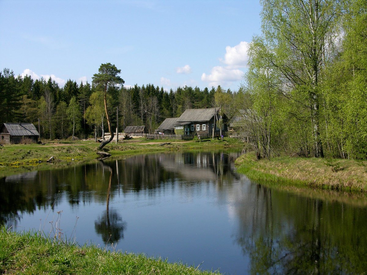 Деревня лес река Псковская область