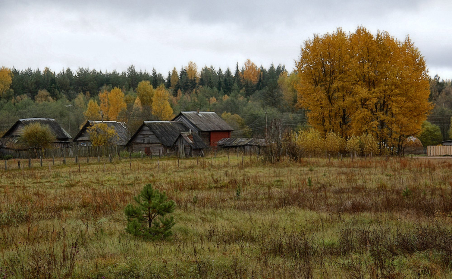Осенняя заброшенная деревня