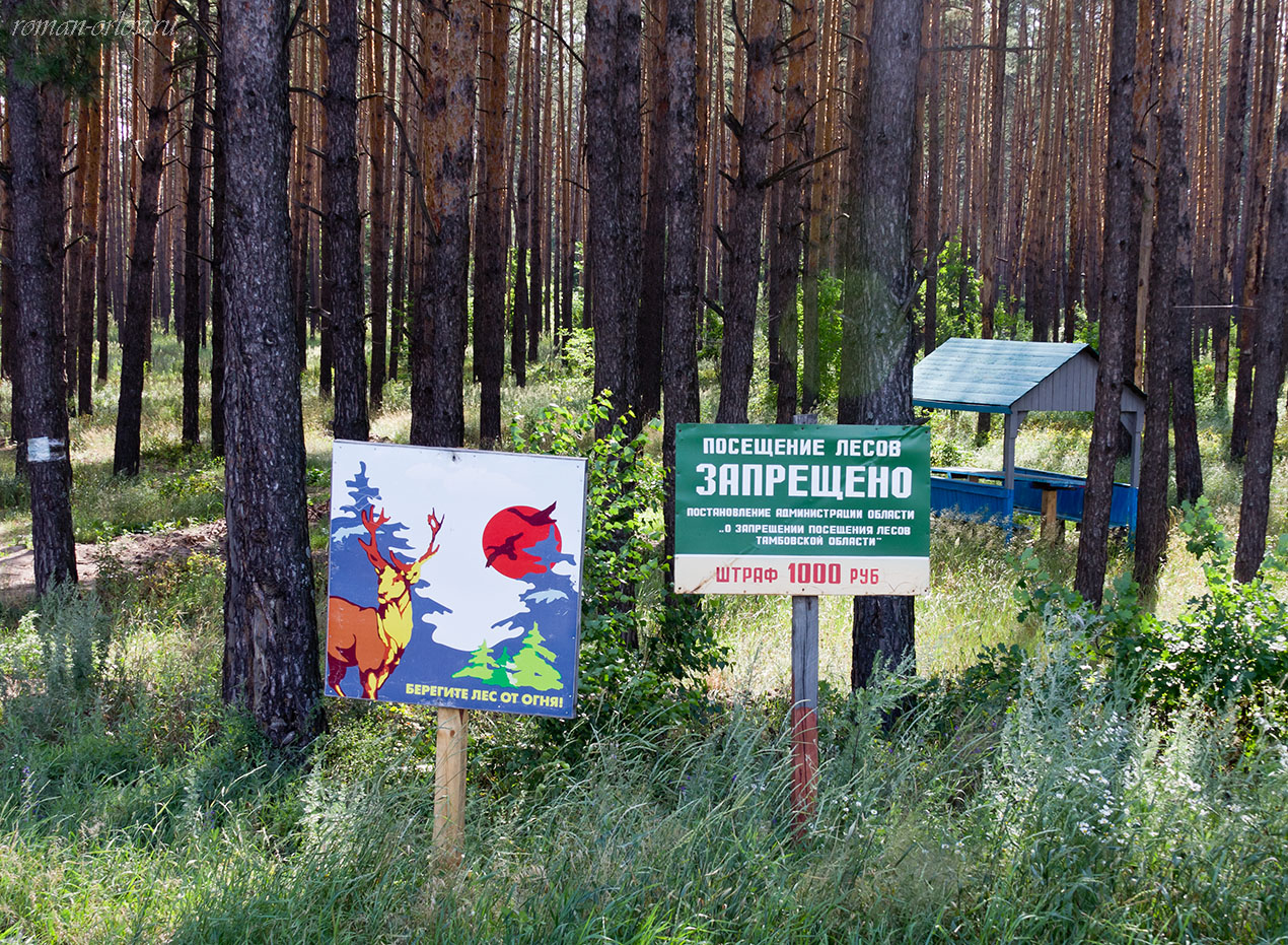 Посещение леса запрещено аншлаг
