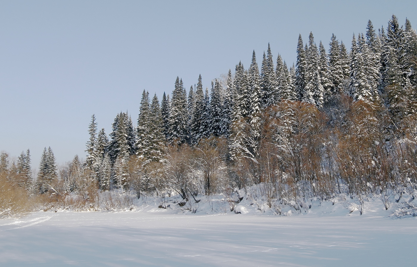 Западно-Сибирская равнина зимой
