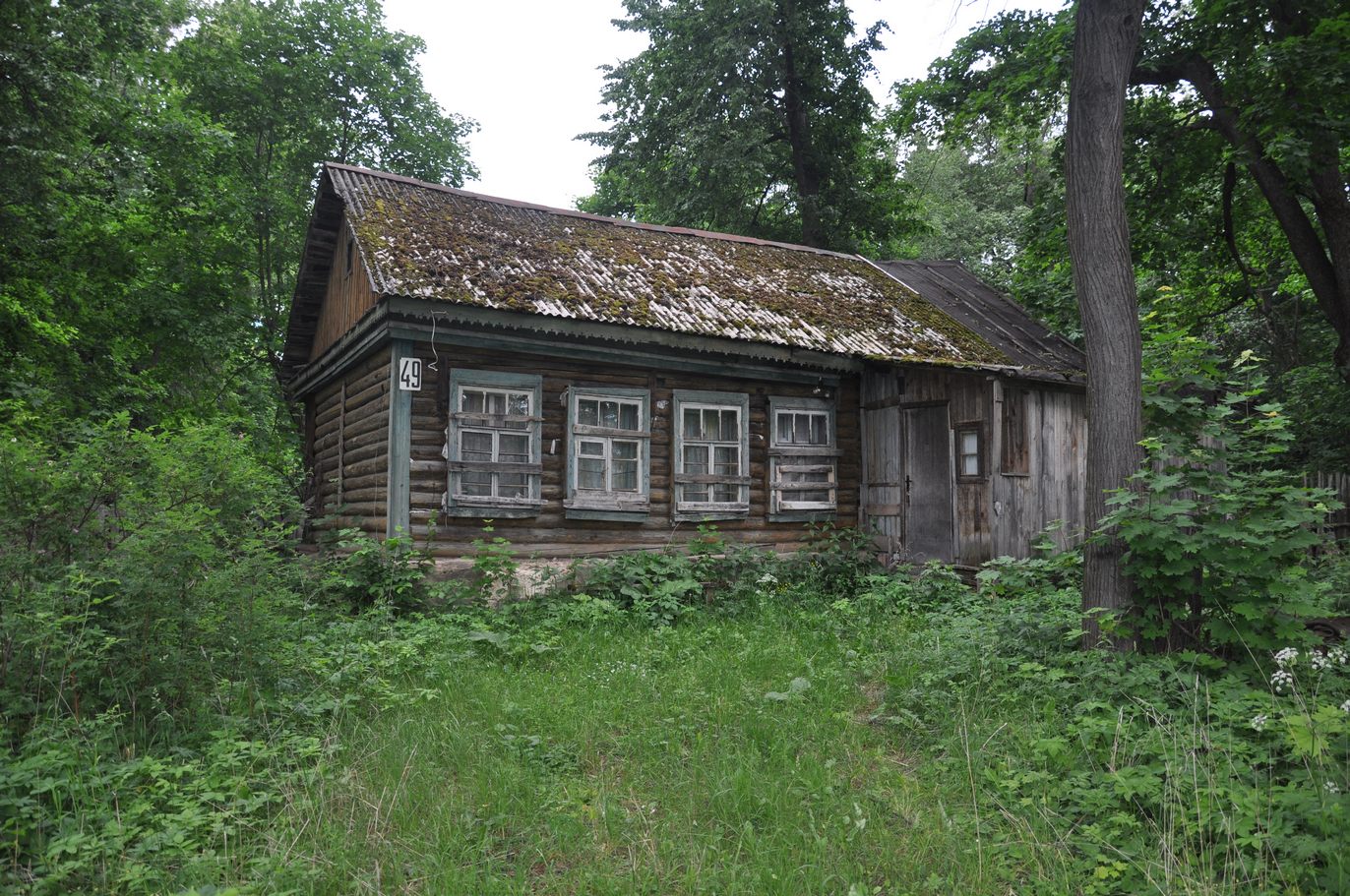 Старый домик в лесу в России