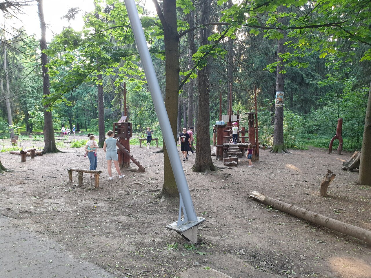 комитетский лес фото