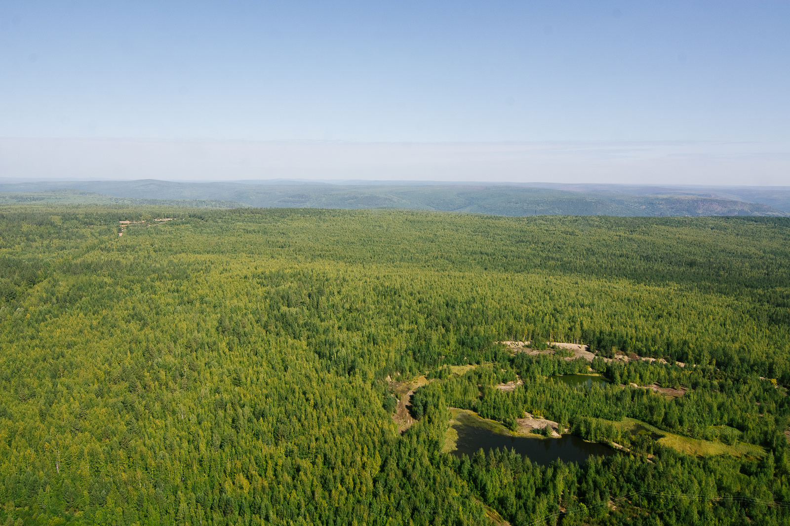 Лесов в Иркутская область