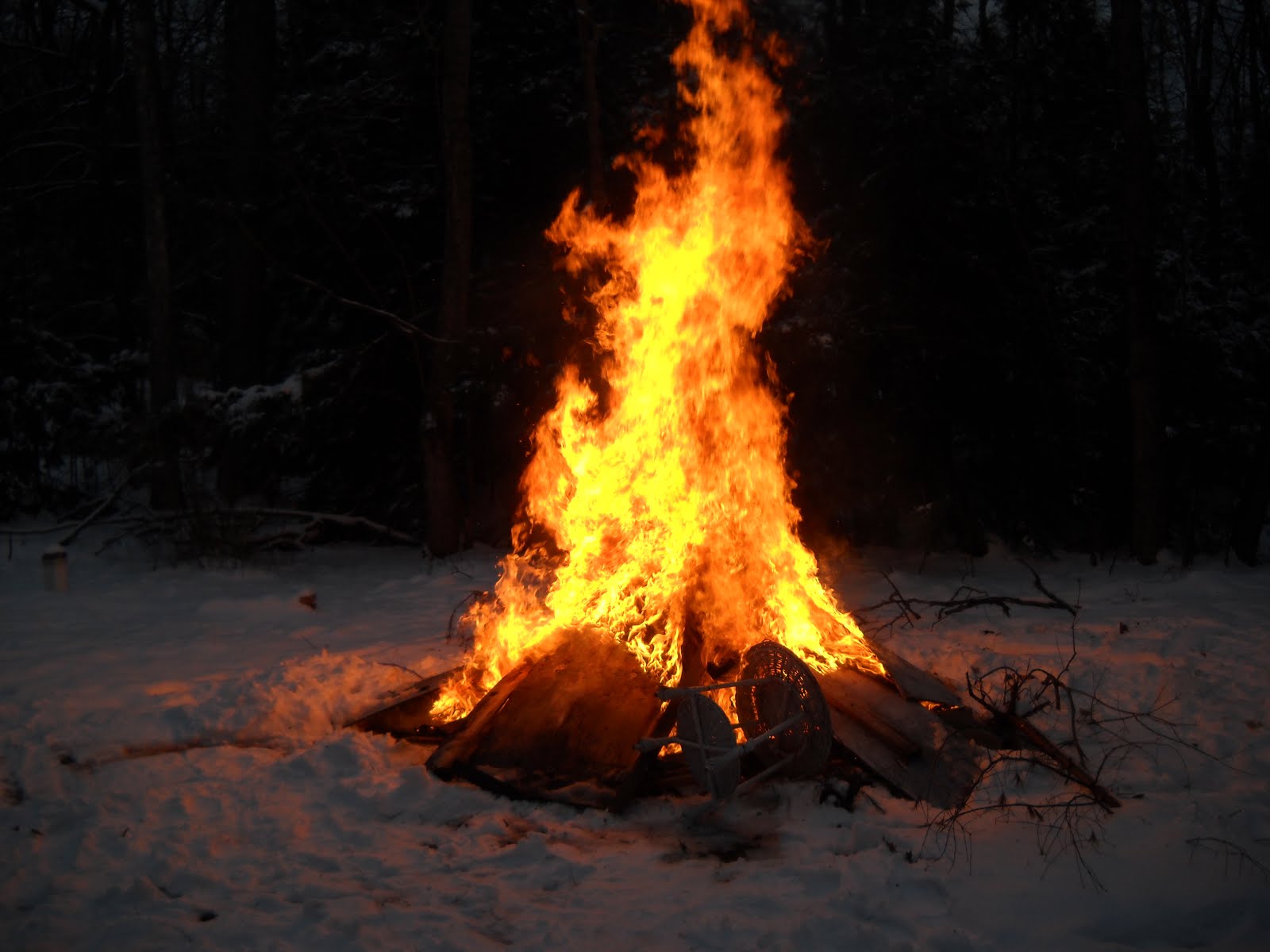 Огонь в зимнем лесу