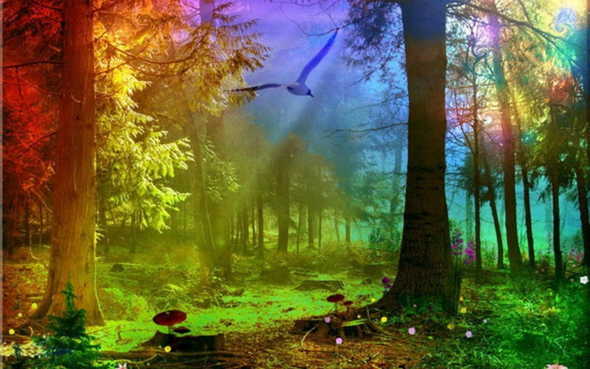 Волшебный лес Солнечный