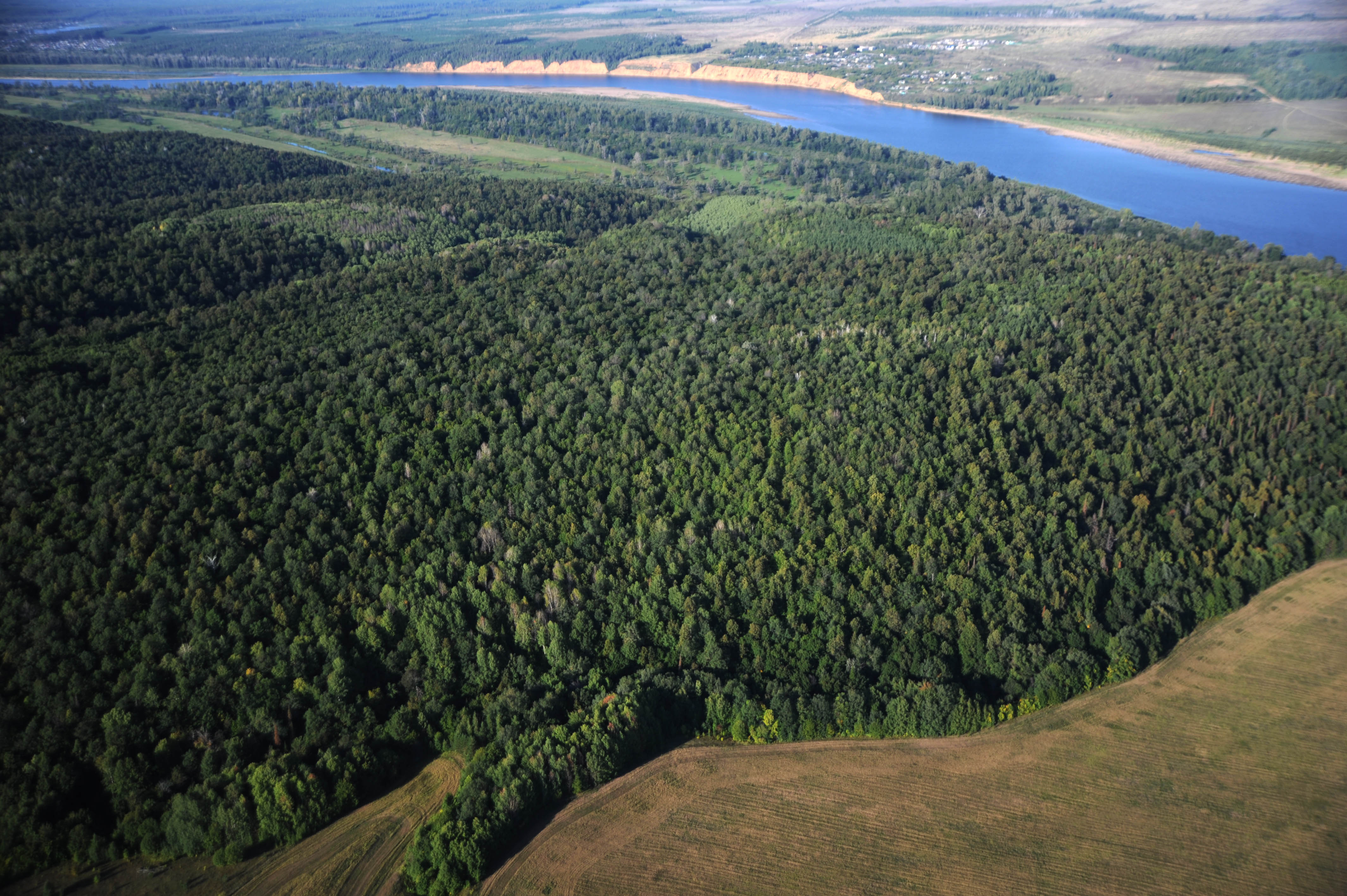 Территория Татарстан леса